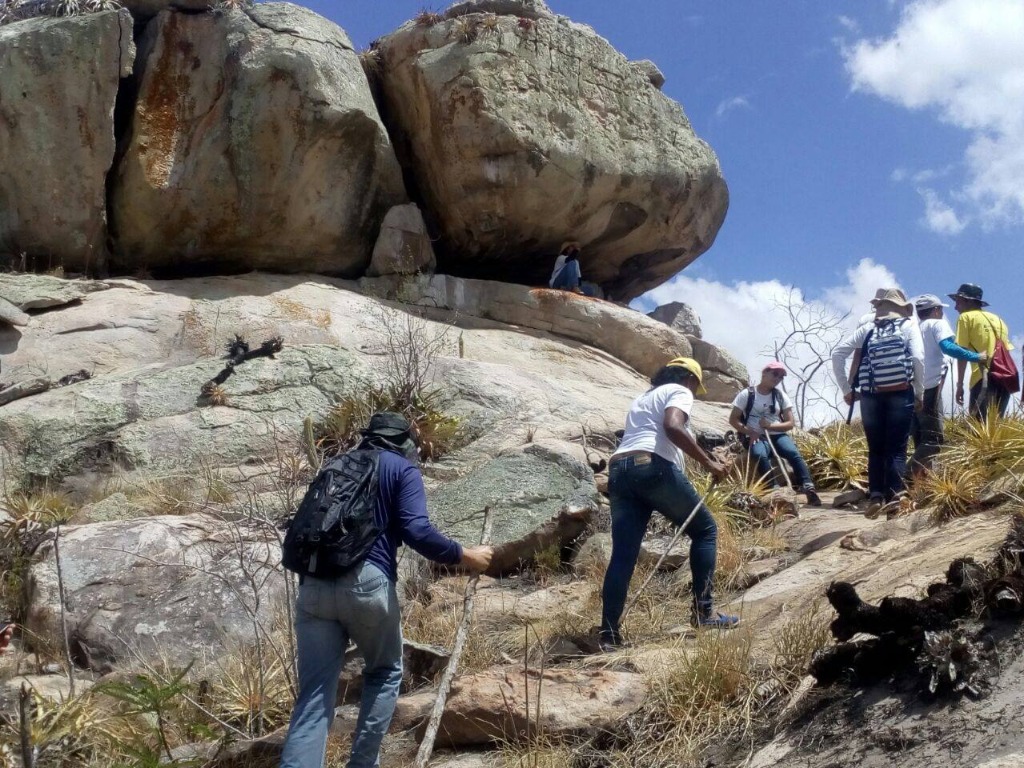 Curso de Extensão Guia Ambiental.jpg