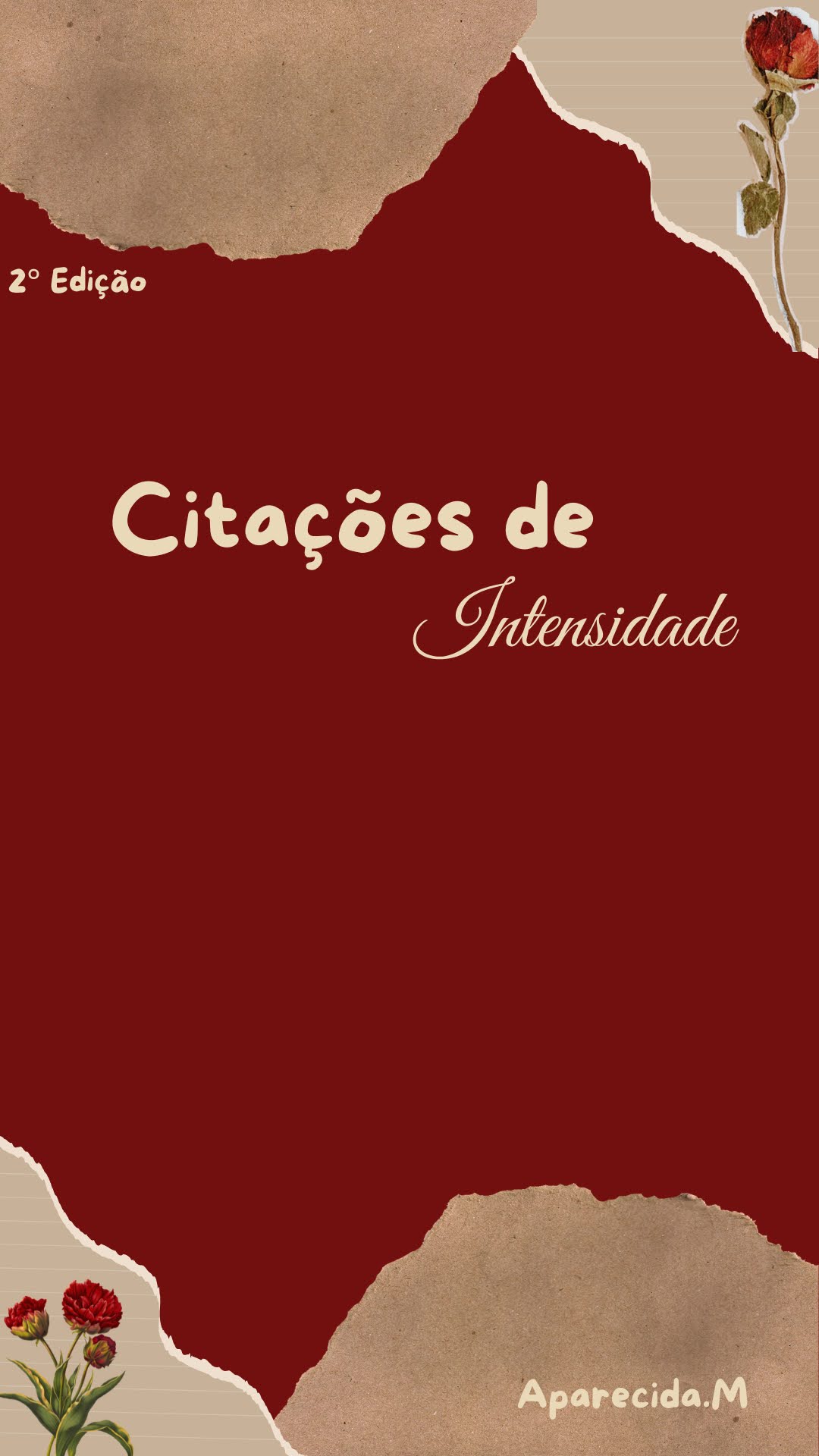 citaçoes livro aluna areia IFPB aparecida.jpeg