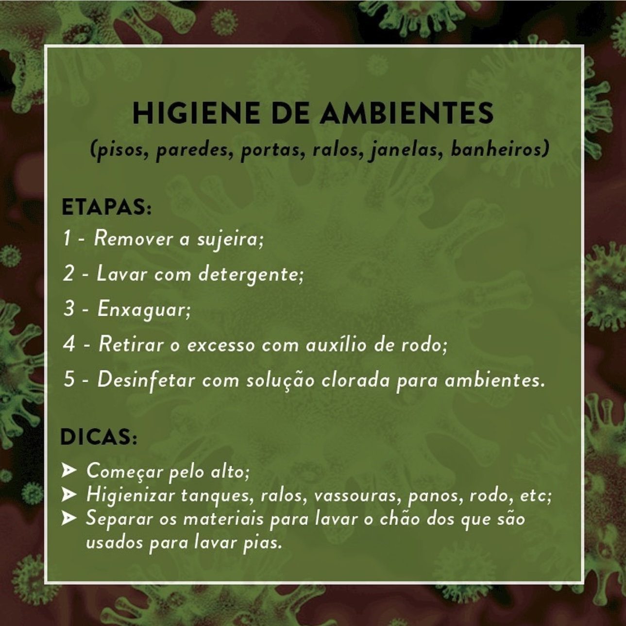 IFPB Campus Cabedelo - Coronavírus: Higienização 6.jpg