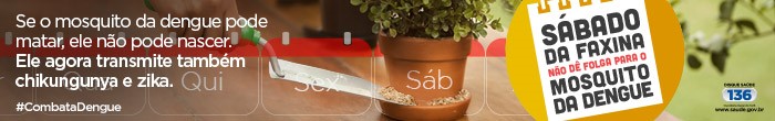 Combate ao Mosquito