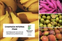 Chamada Interna PNAE - Agricultura Familiar