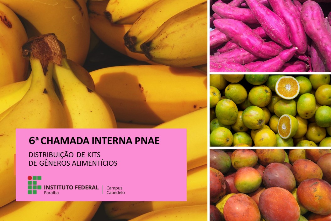 Chamada Interna 06/2021 PNAE - Site