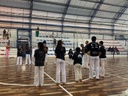 apresentacao de capoeira.jfif