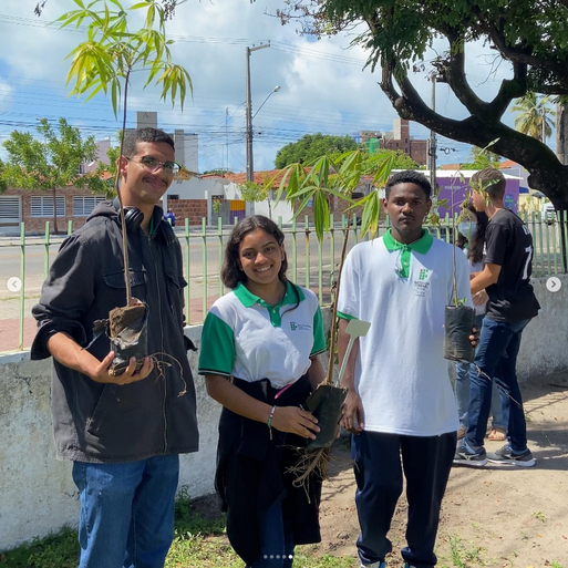 Plantio de mudas no CACC