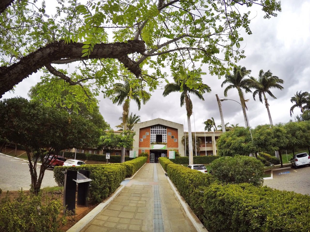 Seleção para Professor Substituto no Campus Cajazeiras