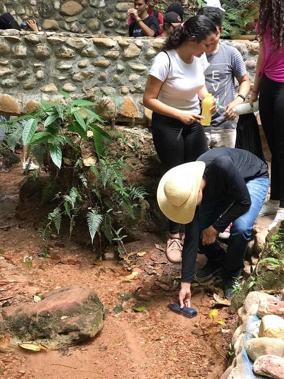 WhatsApp Image 2019-11-11 at 13.10.12.jpeg