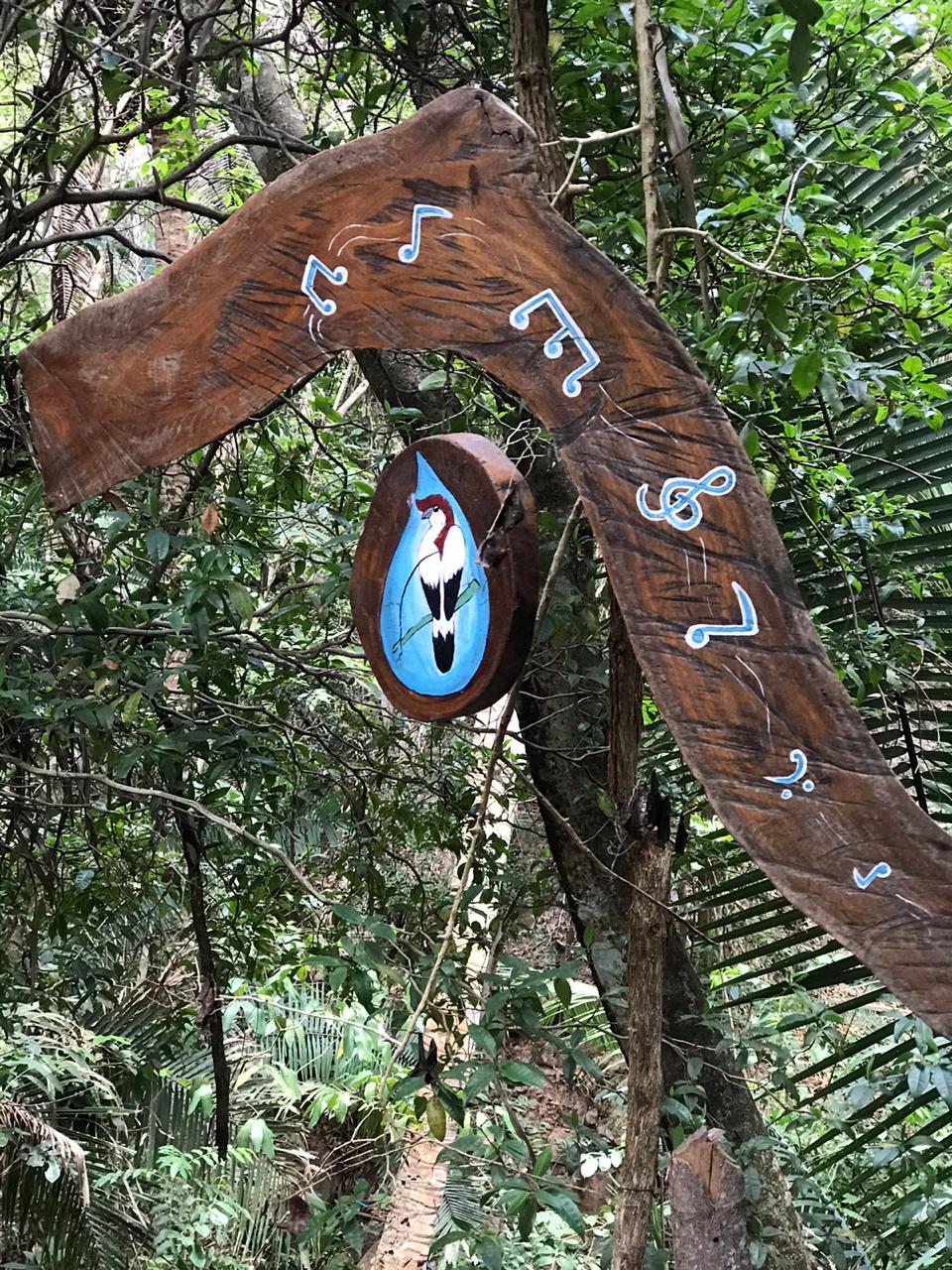 WhatsApp Image 2019-11-11 at 13.10.28.jpeg