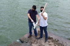 Metal, se ingerido em altas concentrações, pode causar mal estar e danos à saúde