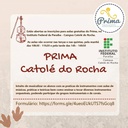 WhatsApp Image 2022-07-29 at 14.59.37.jpeg