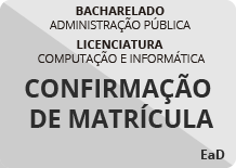 Modelo pequeno Cinza.png