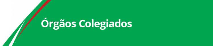 Banner Órgão Colegiados