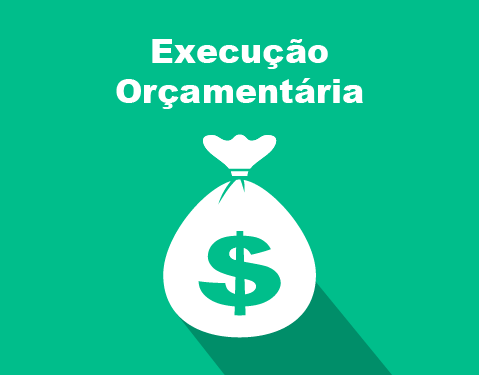 Execução Orçamentária