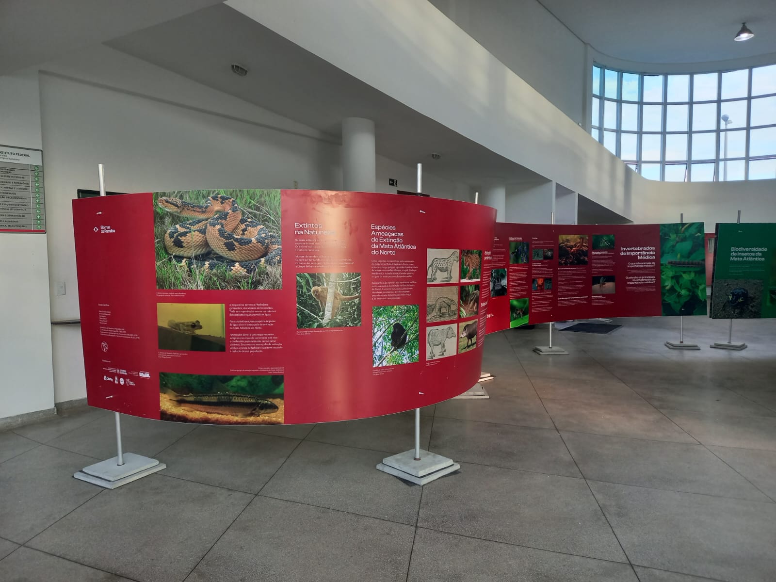 WhatsApp Image 2025-05-23 at 14.04.04.jpeg