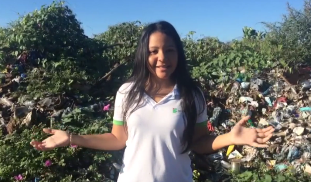 Documentário - Dia do Meio Ambiente [3]