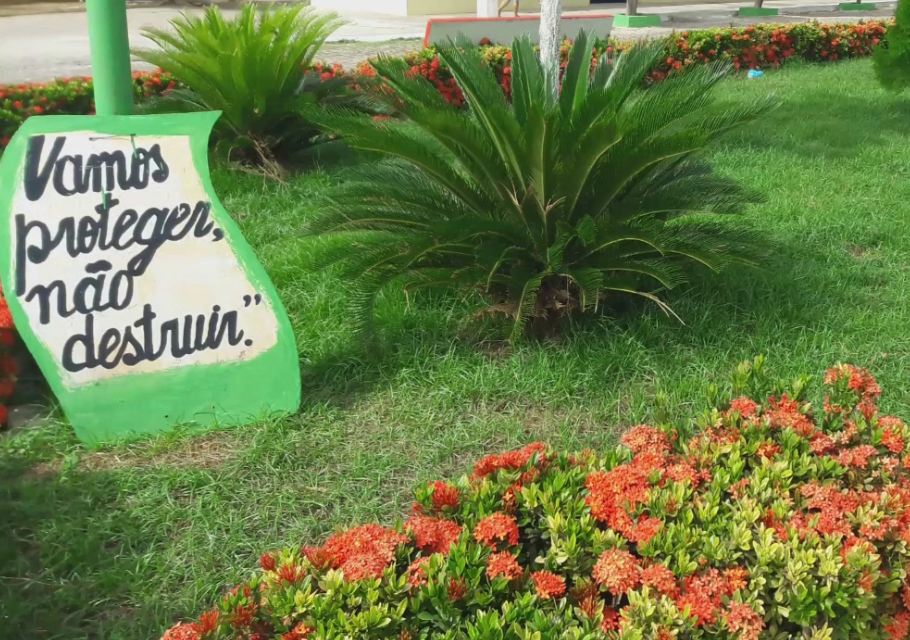 Documentário - Dia do Meio Ambiente [2]