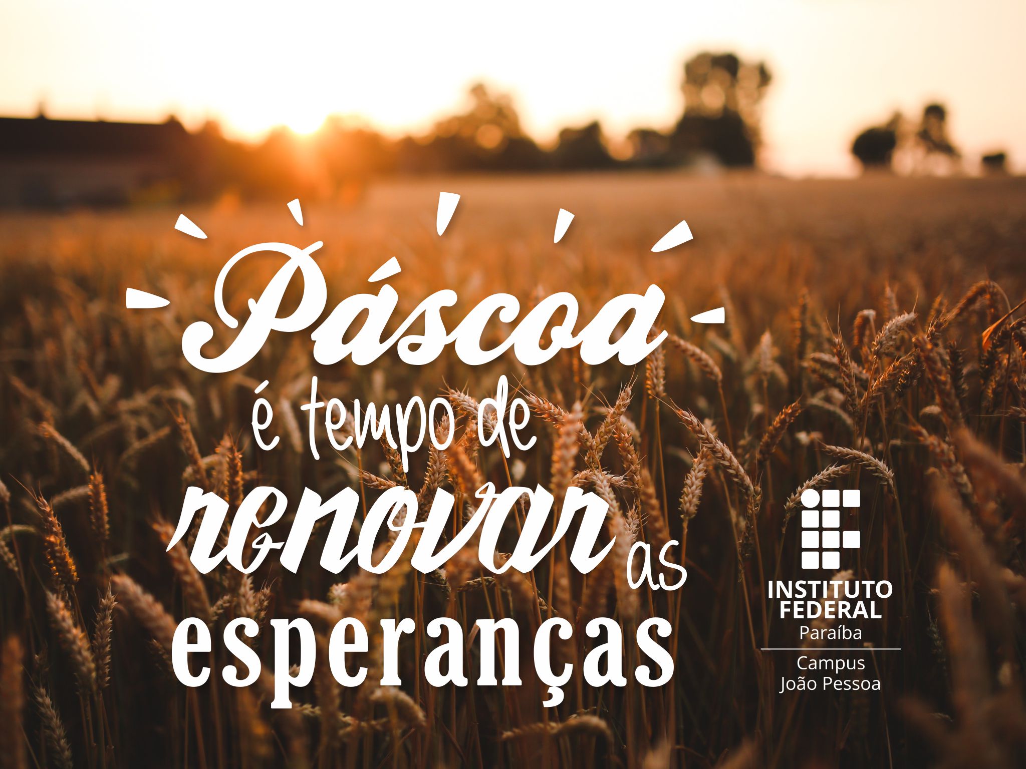 pascoa-ifpb.jpg