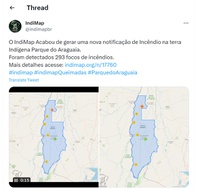 Incêndio Parque do Araguaia.jpg