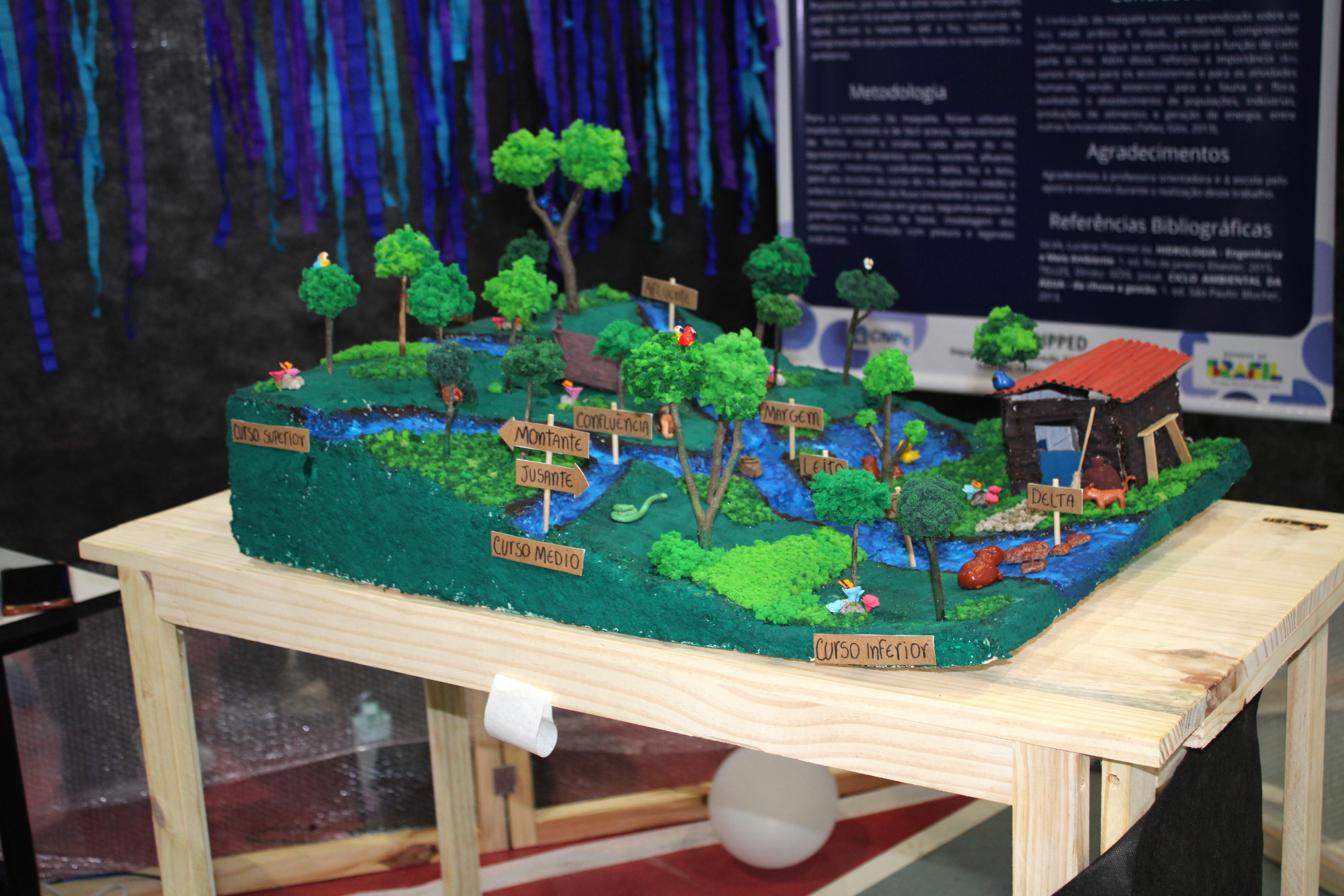 Feria de Ciências.JPG