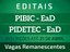 PIBIC E  PIDETEC EAD-02.jpg
