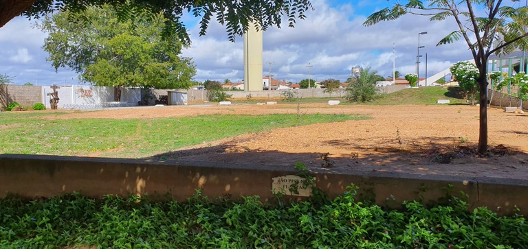 WhatsApp Image 2019-08-11 at 07.52.45.jpeg