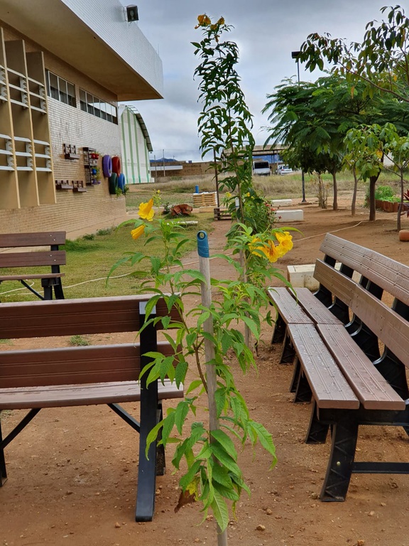 WhatsApp Image 2019-09-20 at 15.26.29 (1).jpeg