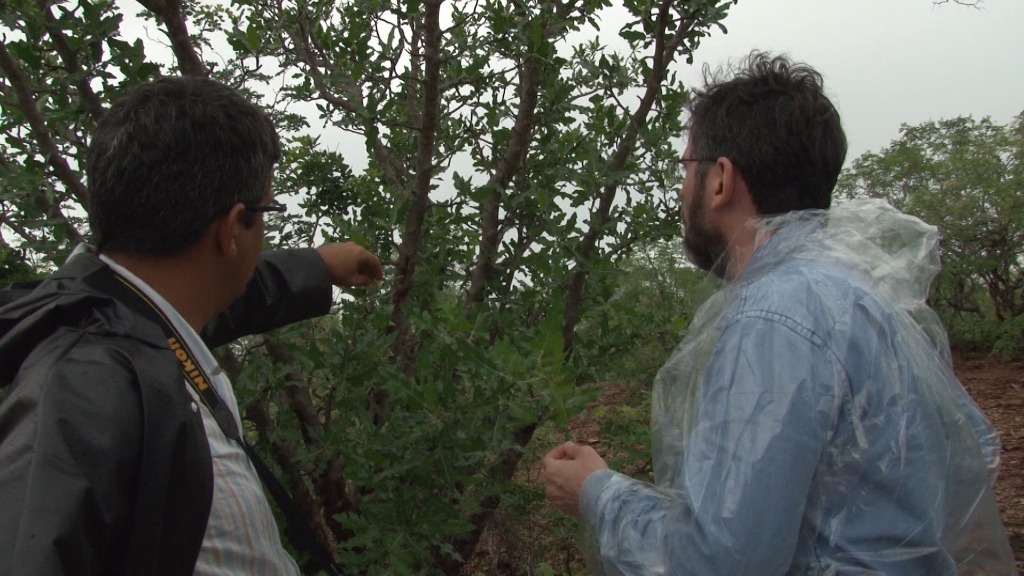 canudos jan 2016.mpeg.01_52_12_28.Still002.jpg