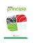 PRINCIPIA 33.jpg