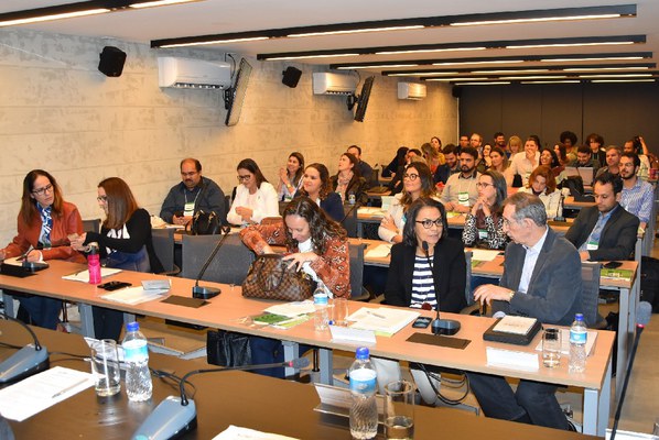 conif reuniao.jpg conif reuniao.jpg