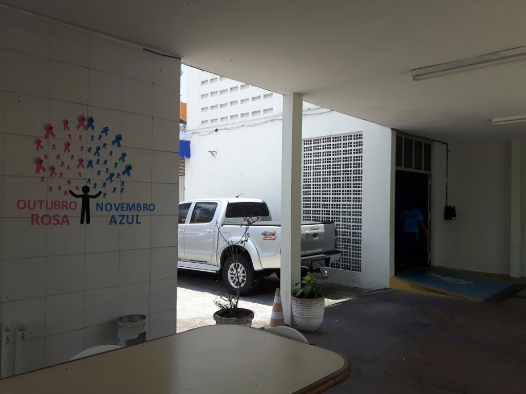 Árvore no prédio da Rua das Trincheiras 2