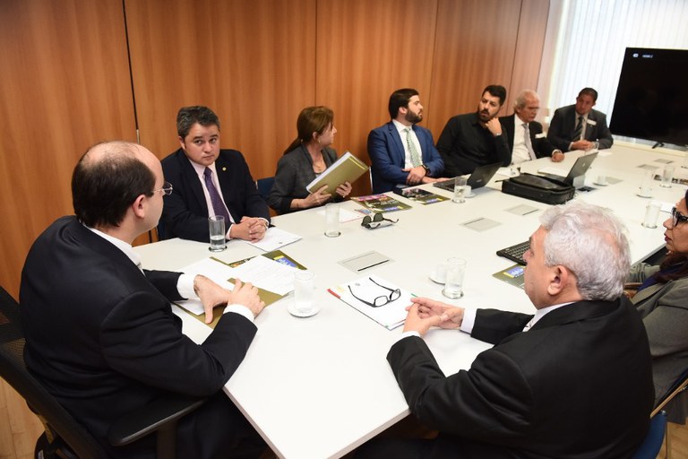 reuniao em brasilia 4.jpg