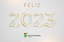 ano novo-01.png