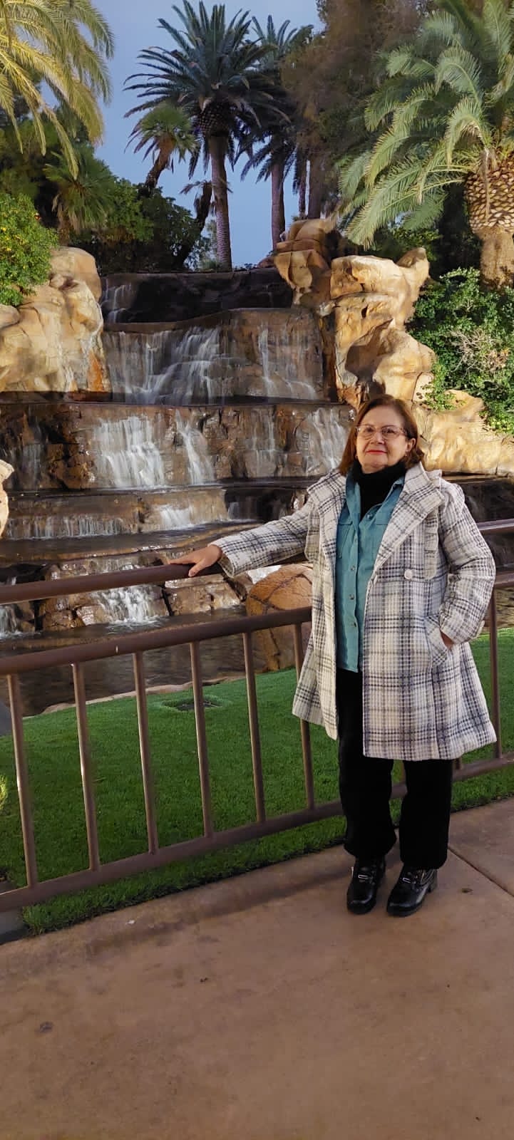 Professora Conceição