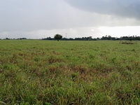 WhatsApp Image 2024-07-05 at 21.55.15.jpeg