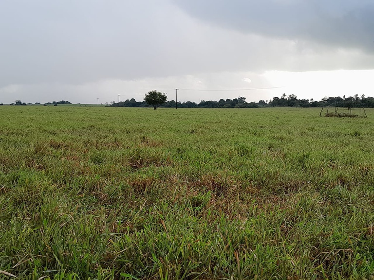 WhatsApp Image 2024-07-05 at 21.55.15.jpeg