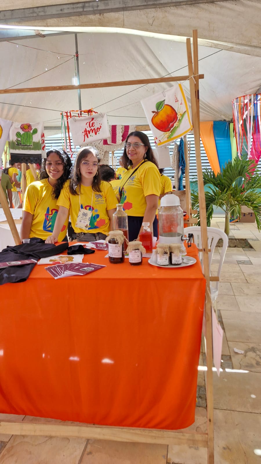 Economia Solidária Enex