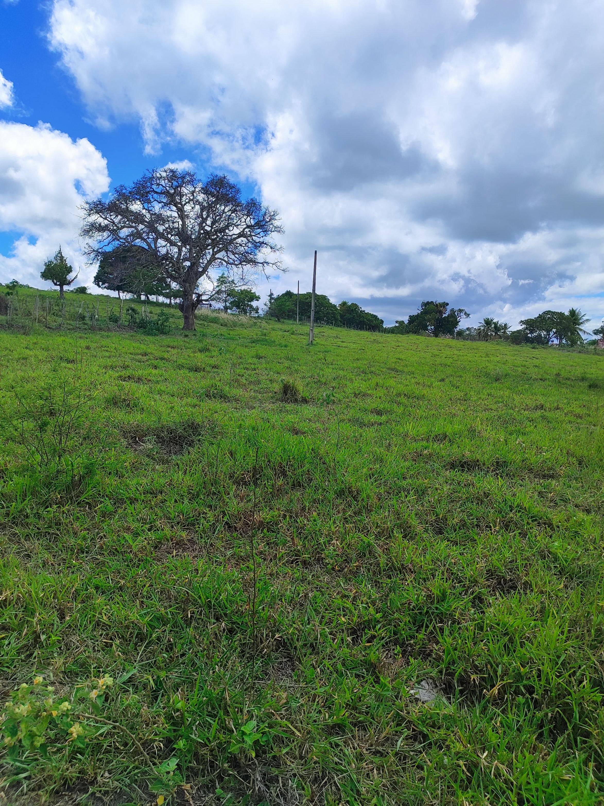 WhatsApp Image 2025-02-27 at 12.10.27.jpeg