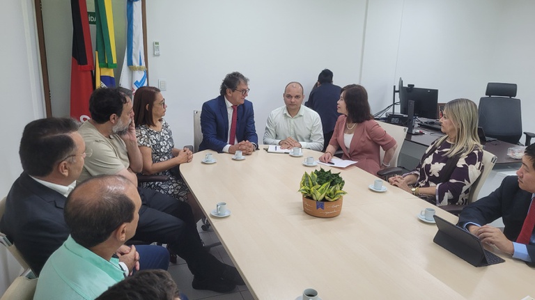 visita comitiva da china ao insa.jpeg