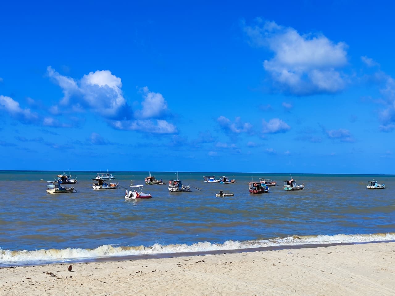 WhatsApp Image 2025-09-23 at 11.33.52.jpeg