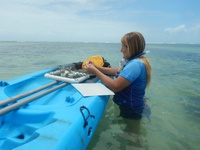 DSCN1522.JPG DSCN1522.JPG