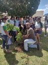 WhatsApp Image 2022-08-24 at 11.10.30 - Plantio da árvore Aroeira na praça em frente ao CRAS Quixaba..jpeg