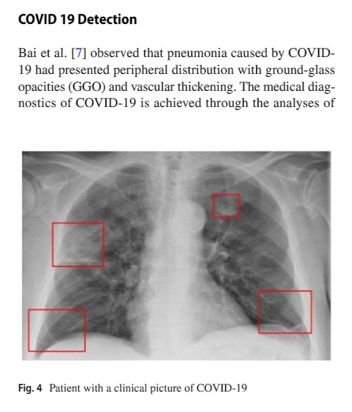 artigo revista spring nature.jpeg