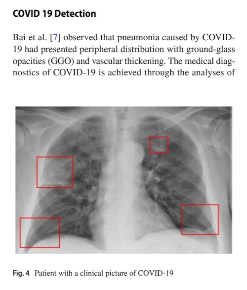 artigo revista spring nature.jpeg