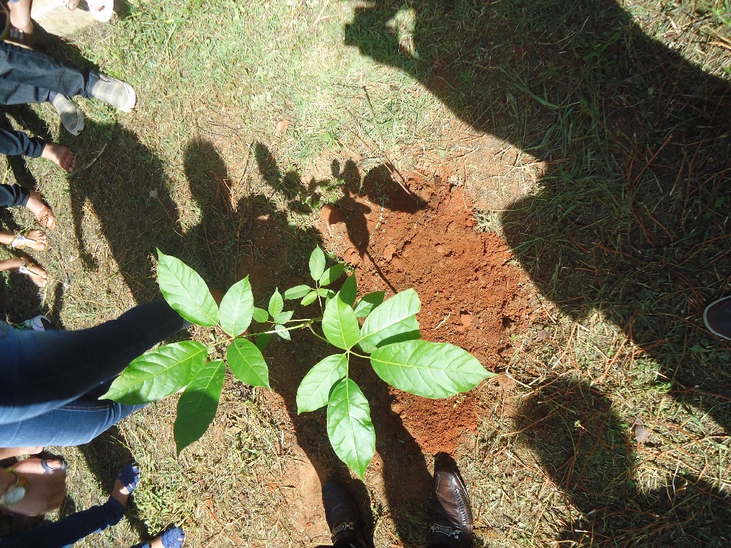 DSC08208 - Cópia.jpg