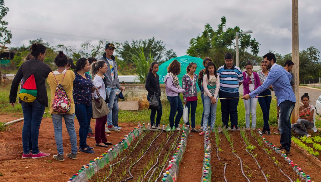 Horta Econômica e Solidária.jpg