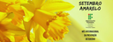 Setembro Amarelo