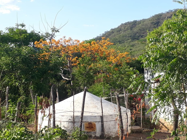 Cópia de 5.O oitão da minha casa.jpeg