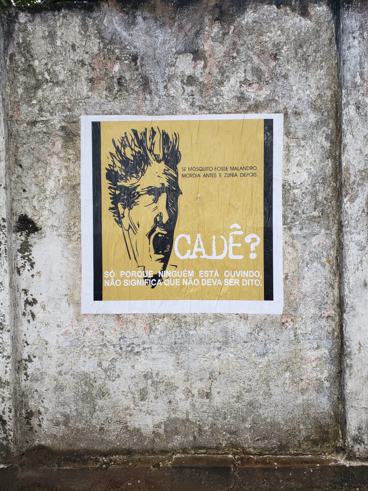 WhatsApp Image 2022-02-02 at 11.02.11.jpeg