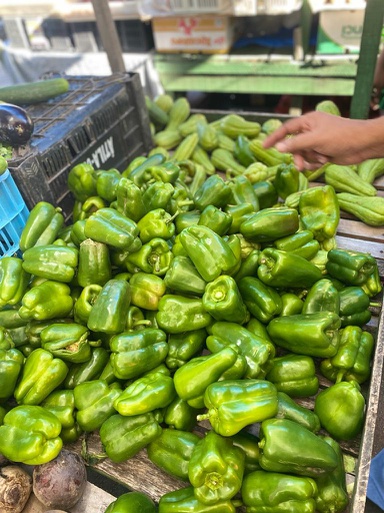 WhatsApp Image 2022-04-13 at 19.46.36.jpeg