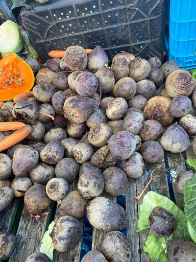 WhatsApp Image 2022-04-13 at 19.47.32 (15).jpeg