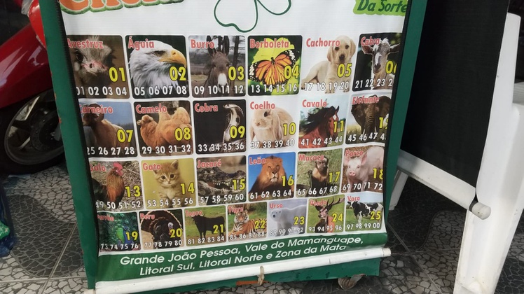 WhatsApp Image 2022-04-27 at 03.15.42 (1).jpeg